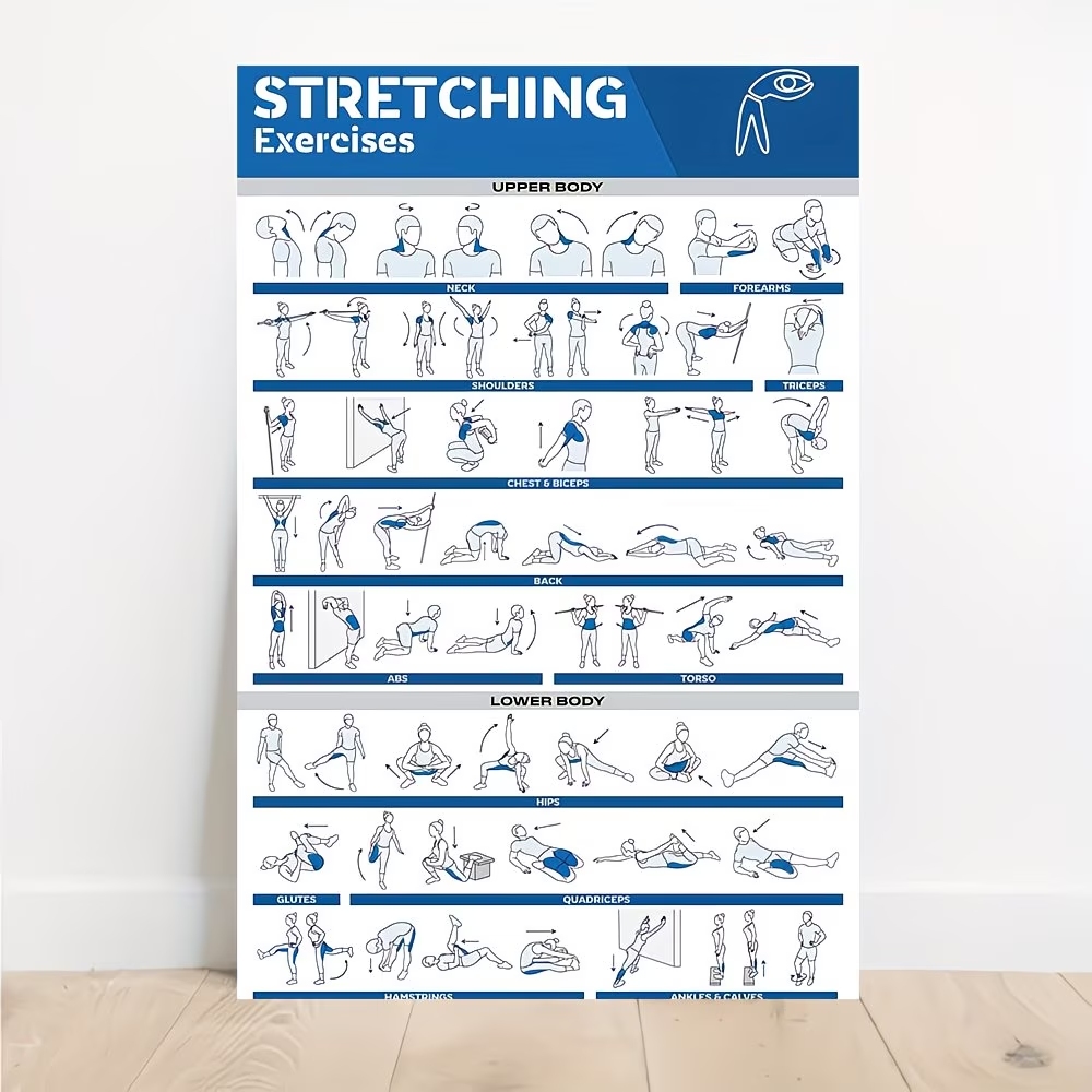 Home Gym Full Body - Modern Labeled Full-Body Stretches For Gym
