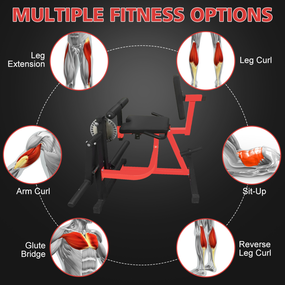 Ye Adjustable Leg Extension an - Home Gym Weight Machine ulasan dan harga