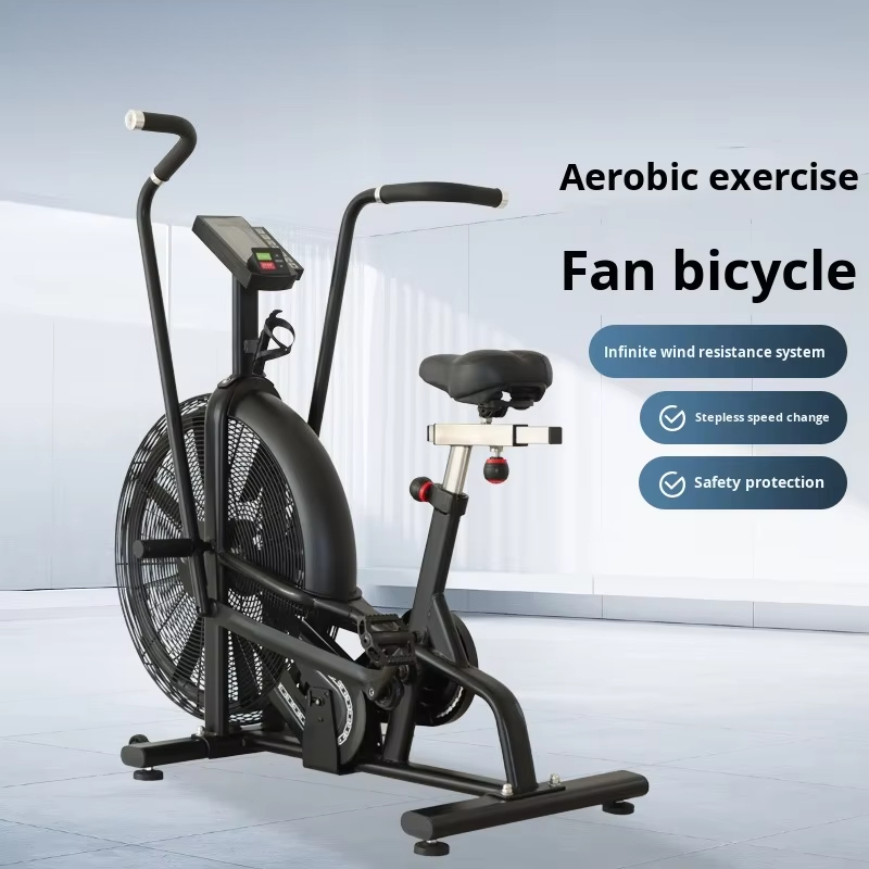 Commercial Wind Resistance Aer - Home Gym Bike ulasan dan harga