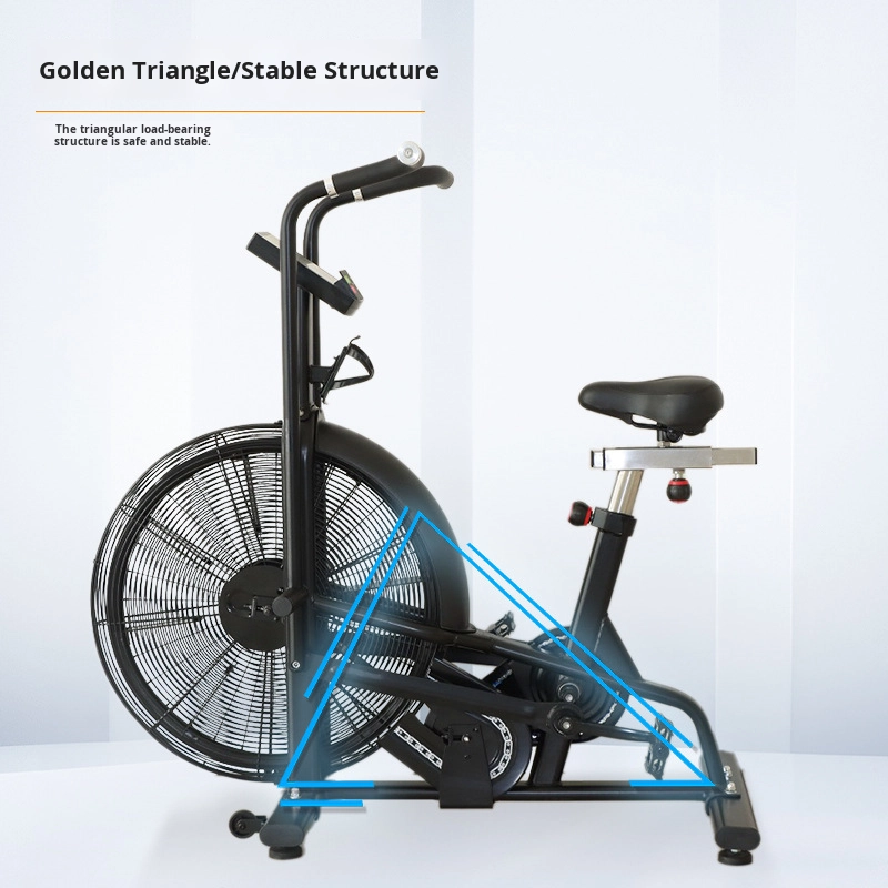 Commercial Wind Resistance Aer - Home Gym Bike ulasan dan harga