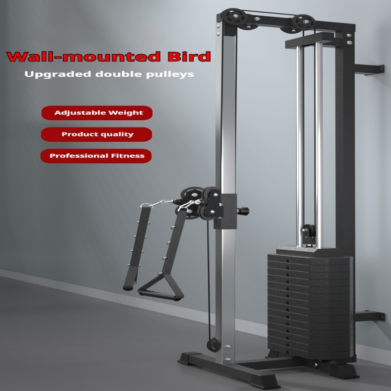 The wall flying bird with coun - Vertical Leg Press ulasan dan harga