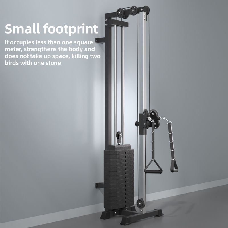 The wall flying bird with coun - Vertical Leg Press ulasan dan harga
