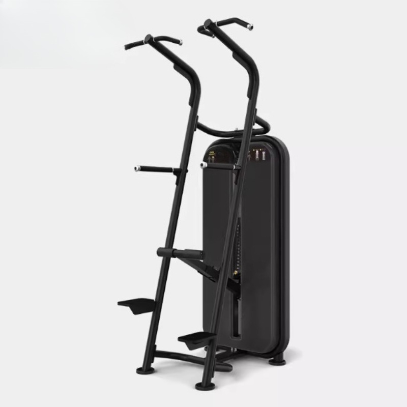 Assisted pull-up parallel bar  - Home Gym Equipment Diy ulasan dan harga