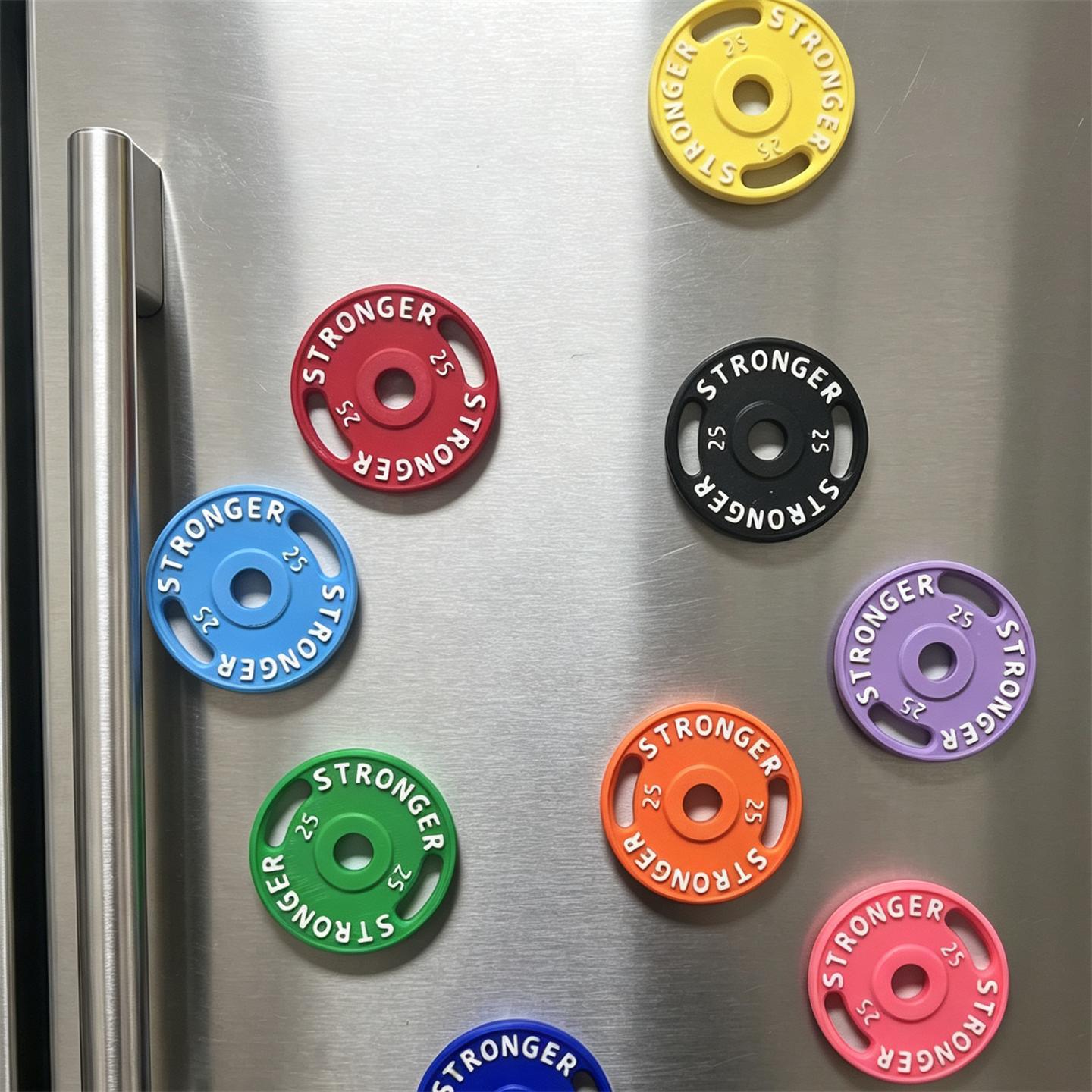 Magnetic Barbell Plate Bag Cha - Home Gym Japan ulasan dan harga