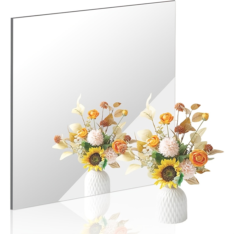 Bandwagon 2mm Acrylic Mirror S - Home Gym Kids ulasan dan harga