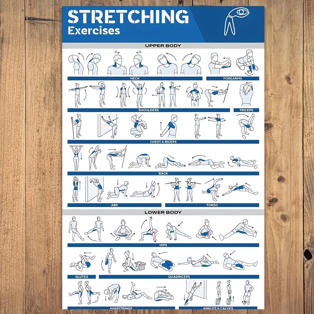 Modern Labeled Full-Body Stret - Home Gym Full Body ulasan dan harga